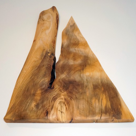 Intuitive Holzkunst - Das Erwachen der Schlange