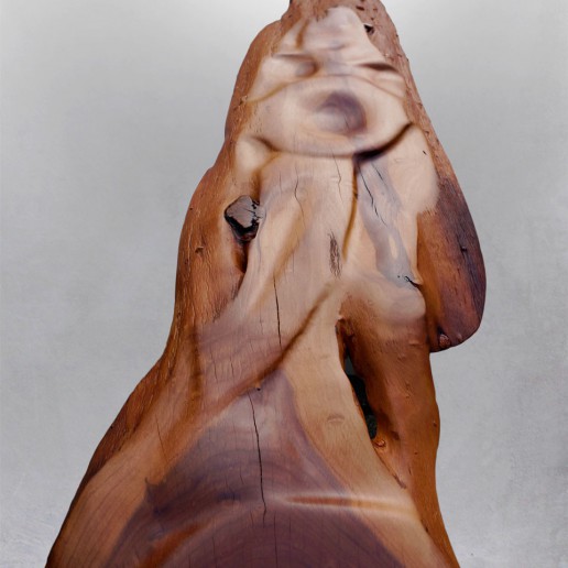 Holzkunstwerk - Fragment