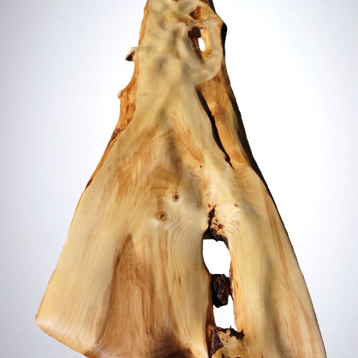 Intuitive Holzkunst - Im Fluss