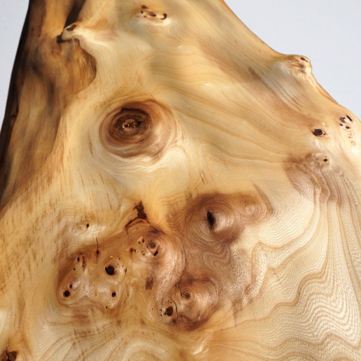 Intuitive Holzkunst - Im Fluss