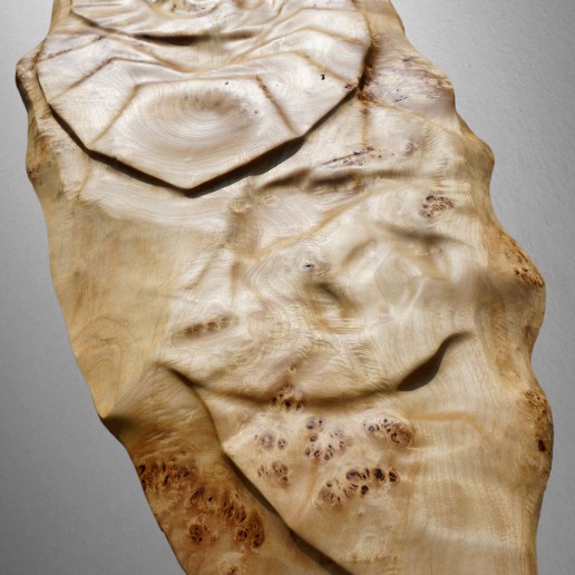 Holzkunstwerk - Strukturen der Schöpfung