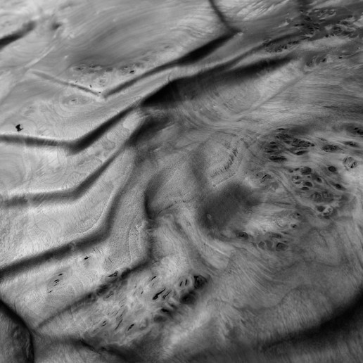 Holzkunstwerk - Strukturen der Schöpfung