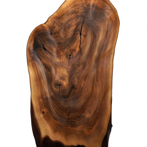 Holzkunstwerk - Kraft der Regia