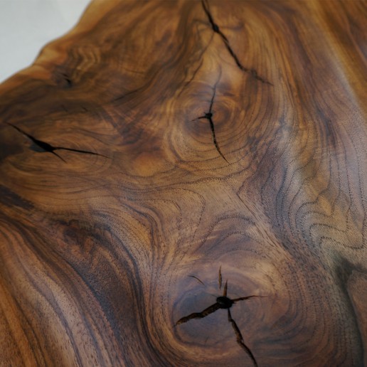 Holzkunstwerk - Kraft der Regia