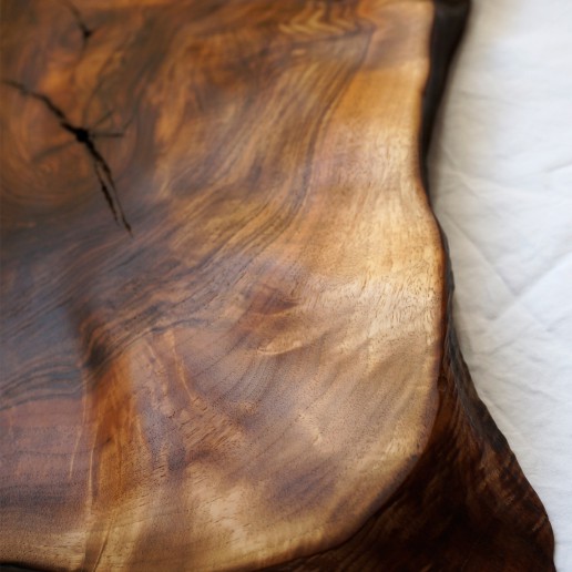 Holzkunstwerk - Kraft der Regia